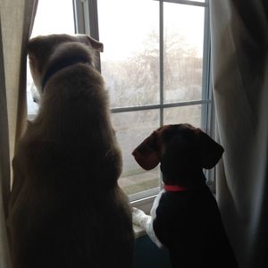 Meet your Posher, Stefanie