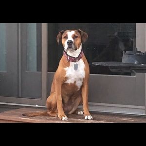 Meet your Posher, Brooke