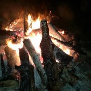 Meet your Posher, Heidi