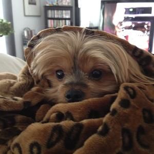 Meet your Posher, Debra