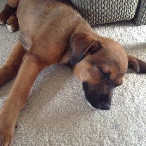 Meet your Posher, Audrey