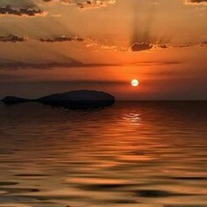 Meet your Posher, Sheila