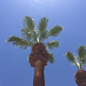 Meet your Posher, Ryder