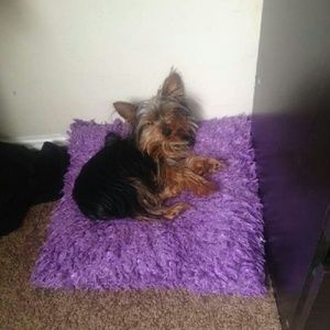 Meet your Posher, Cierra