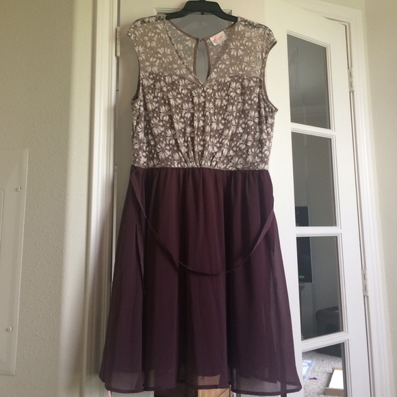 Chocolate Creme Lace Chiffon Style Dress Modcloth