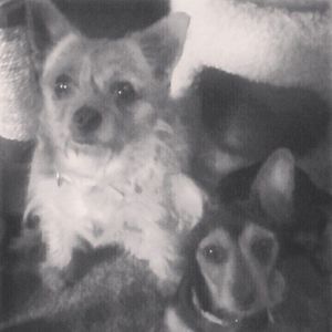 Meet your Posher, Heather