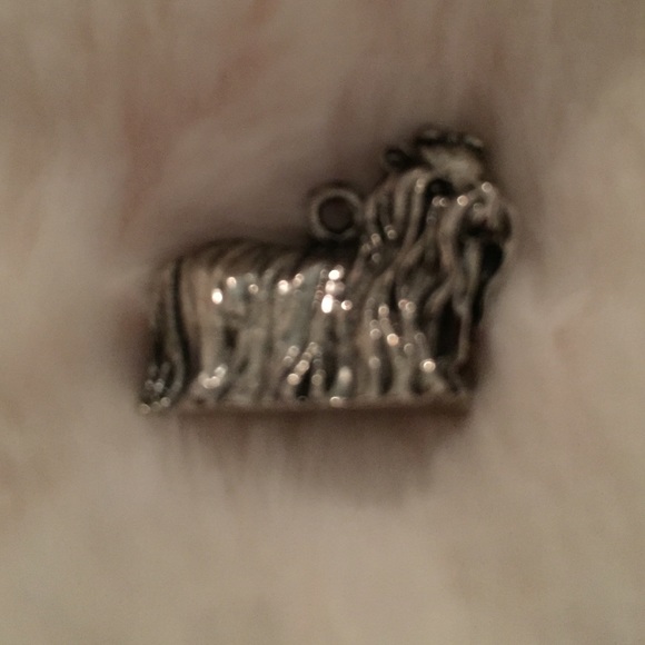 Yorkshire terrier silver charm