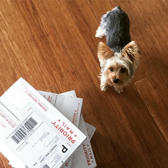 Meet your Posher, Claire - Picture 2 of 2