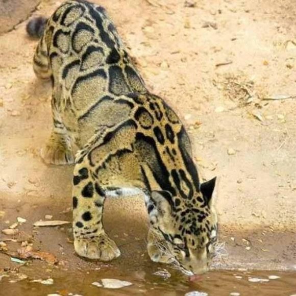 Meet your Posher, Andrea - Picture 1 of 1