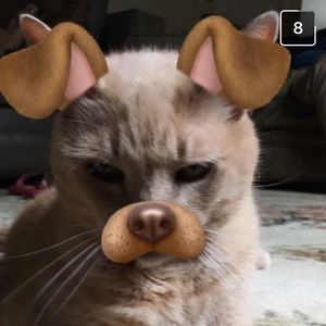 Meet your Posher, Reilly