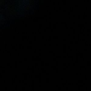 Meet your Posher, Reece