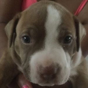 Meet your Posher, Val