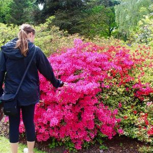 Meet your Posher, Ingrid