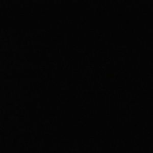 Meet your Posher, Jojo