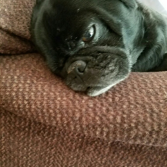 Meet your Posher, Linda - Picture 1 of 1