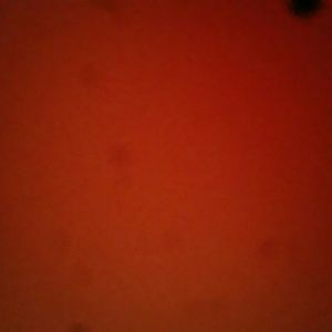 Meet your Posher, Carli