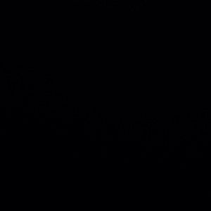 Meet your Posher, Kiki