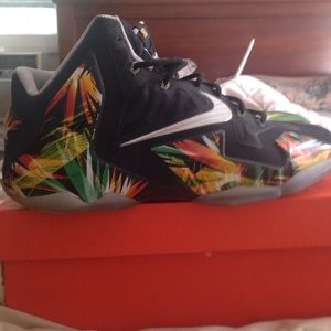 Lebron 11 Everglades!! Worn twice! Will trade!!