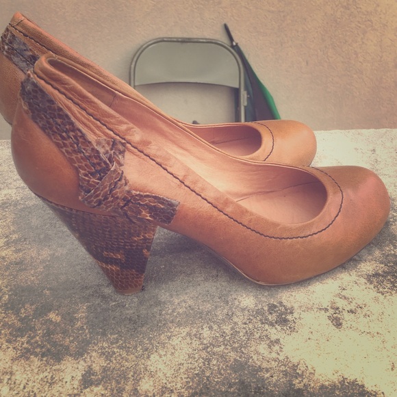 Basic Goes To Another Level! - image 1