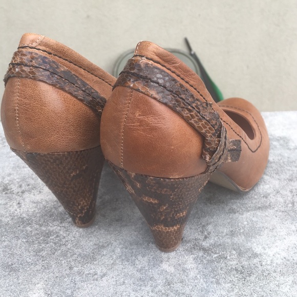 Basic Goes To Another Level! - image 3