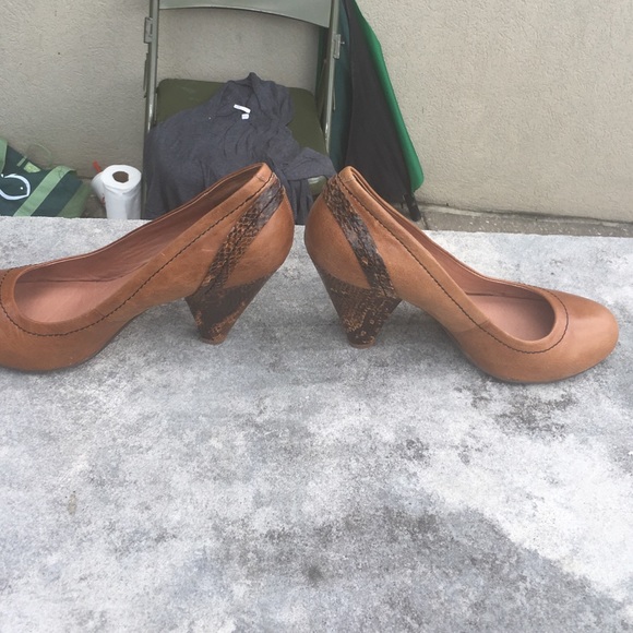 Basic Goes To Another Level! - image 4