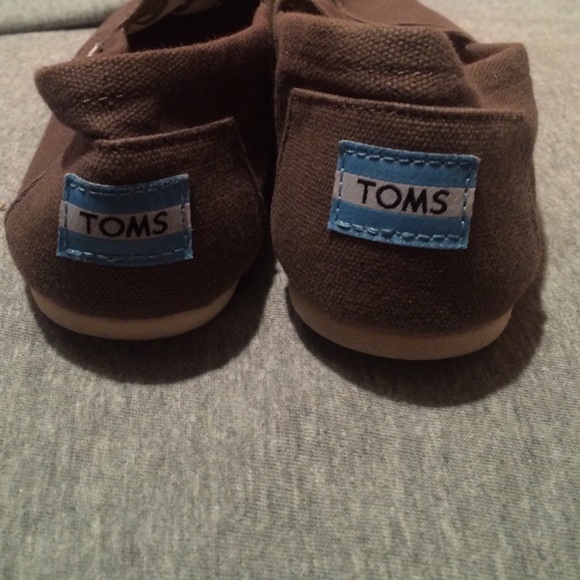 Gray Toms