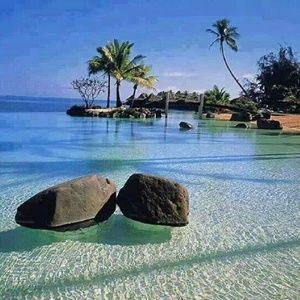 Meet your Posher, Lori lynn