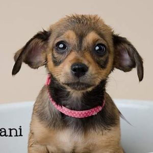 Meet your Posher, Danielle