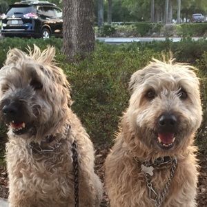 Meet your Posher, Lynn