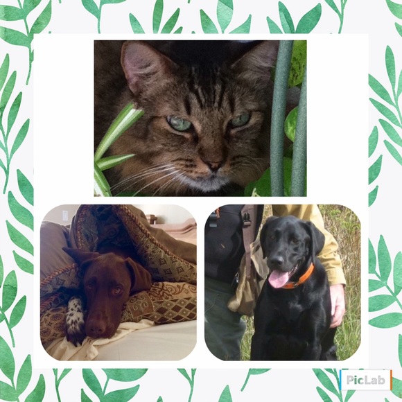 Meet your Posher, Terry... - Picture 2 of 4