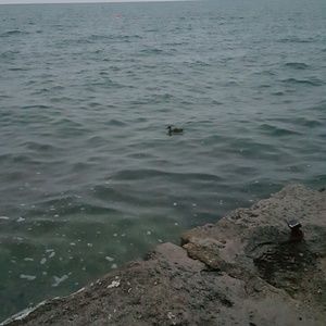 Meet your Posher, Sheila