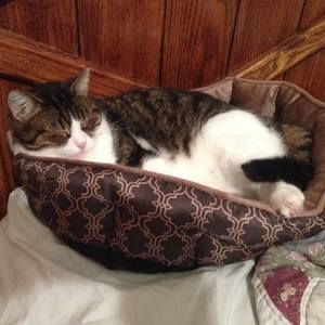 Meet your Posher, Yenna