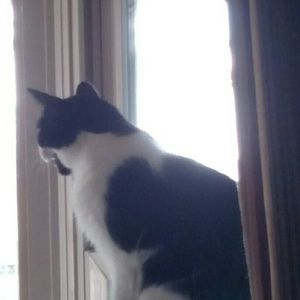 Meet your Posher, Karen