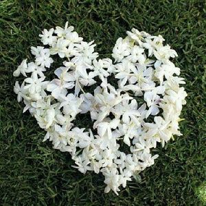 Meet your Posher, Naima