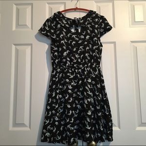 NWT LC Lauren Conrad black with blue bird dress.
