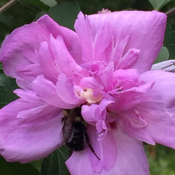 Meet your Posher, Dayna