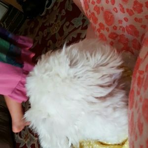 Meet your Posher, Tammy