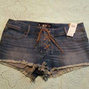 Brand New Hollister Shorts