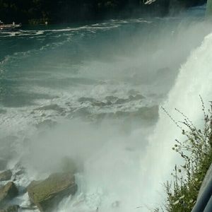 Meet your Posher, Ronda