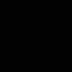 Meet your Posher, Elanit