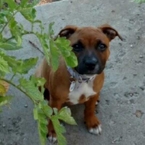 Meet your Posher, Marie - Picture 1 of 1