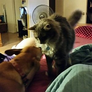 Meet your Posher, Jason