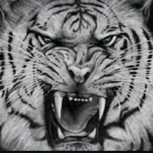 Meet your Posher, Kenny