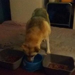 Meet your Posher, Sandra