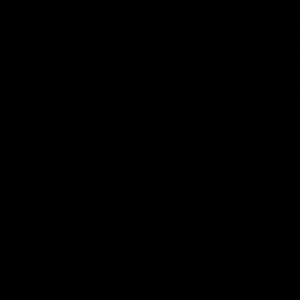 Meet your Posher, Keausja