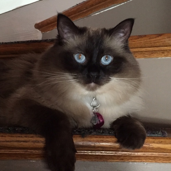 Meet your Posher, Kristin