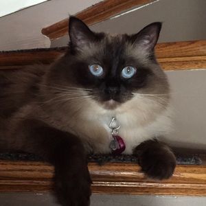 Meet your Posher, Kristin