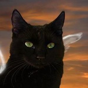 Meet your Posher, Betsy