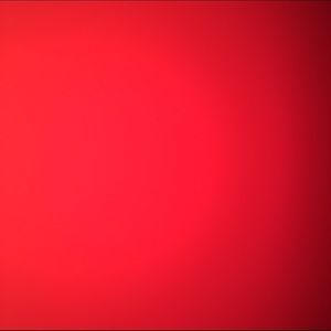 Meet your Posher, Lenise