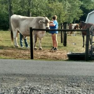 Meet your Posher, Paula